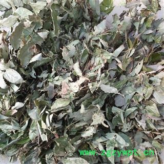 淫羊藿 甘肃淫羊藿（包含量） 产地 甘肃省图3