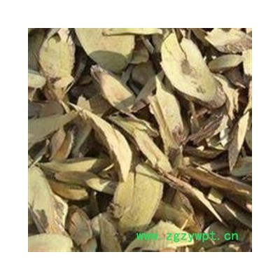 铁包金 鼠乳根 勾儿茶 常青藤 选 产地 广西壮族自治区 批发各种冷背中草药个子