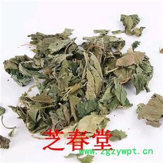 桑叶中药材散装批发桑叶茶规格多种 承接大货量大价优桑叶茶图2