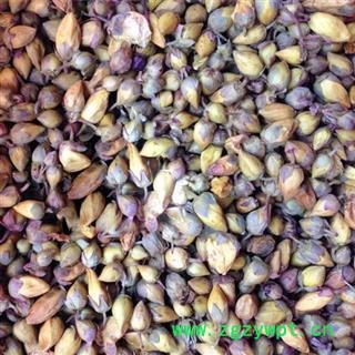 娟子中药 郁金香（花茶级别） 产地 江苏省 可做面膜用图3