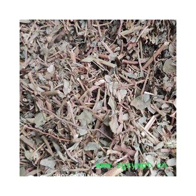 瑞森药材行一叶萩  一叶秋 小粒蒿 横子 粉条 老鼠牙 马扫帚牙 小孩拳