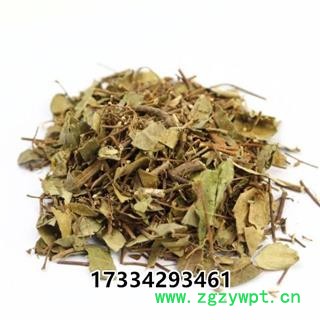 络石藤  中草药材 爬山虎 白花藤图2