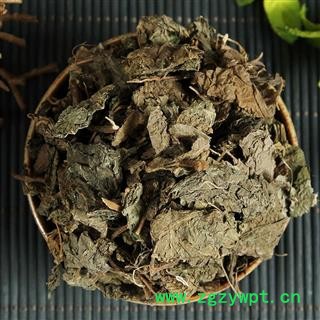 中药材 紫苏干晒干紫苏叶图2