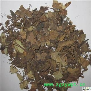 鱼鳖草、金丝鱼鳖、山豆爿草 抱树莲 抱石莲图2