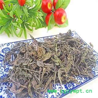 大青叶 中药材 板蓝根叶 板蓝根叶图3