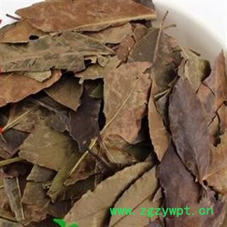 圣草康园中药材四季青 新货 量大从优图2