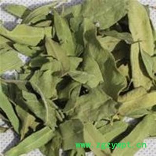 圣草康园新货 罗布麻叶 统 无硫产地 河北省保定市高碑店市图2