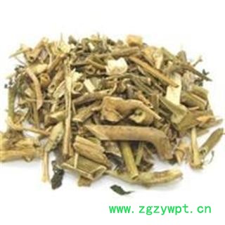 吉康药业铁树叶 朱蕉叶图2