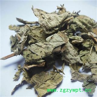 吉康药业 芙蓉叶 地芙蓉、芙蓉、山芙蓉图2