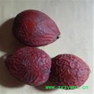 吉康药业中药材铁树果 铁树籽 苏铁果 铁树子图4