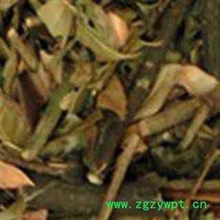 小丽百草行武靴藤 匙羹藤 金刚藤、蛇天角、饭杓藤图2