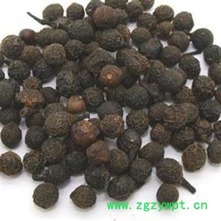 香樟子 樟树子图2