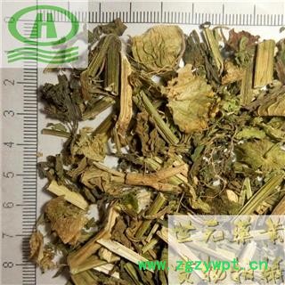 世元药业 灯笼草 鬼灯笼 苦灯笼 红姑娘 挂金灯 锦灯笼 泡泡草 酸浆果藤【全品除尘中药】图2