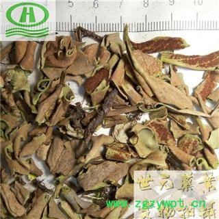 世元药业 石韦叶 正品小叶石苇 实物拍摄 绝非掺假廉价货 别称-石樜 金星草 石兰 生扯拢图2