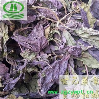 世元药业 紫苏叶 正品手采 一面绿一面紫 食药两用 出口南韩【全品除尘中药】实物拍摄图2