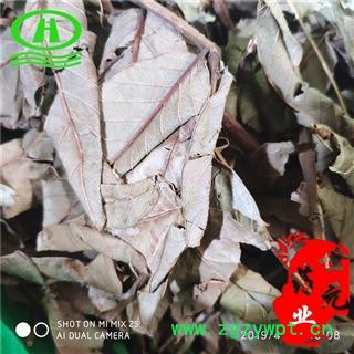 世元药业 番石榴叶 正品 鸡矢茶 番桃叶 麻里杆 吗桂香拉 那拔叶 那拔心 拔仔心 番石榴心图2