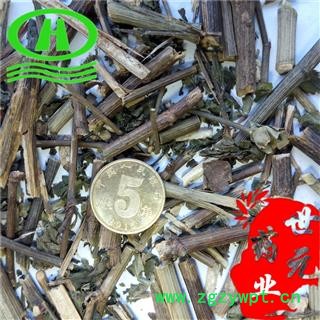 世元药业 白花丹 百花丹 山坡芩 假茉莉 千里及 乌面马 白雪花 野苜莉图2