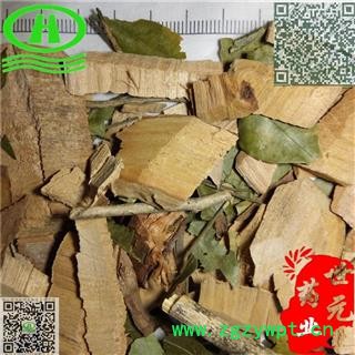 世元药业 漆大姑 正品 毛漆 毛七哥 毛七公 大毛七图2