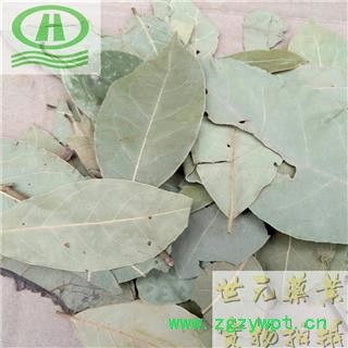 世元药业 香叶 调料 月桂叶 香桂叶 桂叶 天竺桂图2