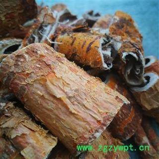 野生桑白皮 统 产地秦岭 陕西省商洛市市辖区图4