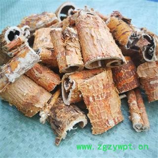 野生桑白皮 统 产地秦岭 陕西省商洛市市辖区