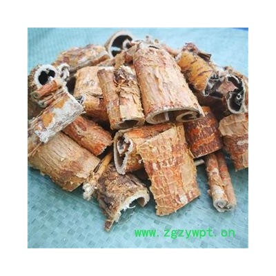 野生桑白皮 统 产地秦岭 陕西省商洛市市辖区