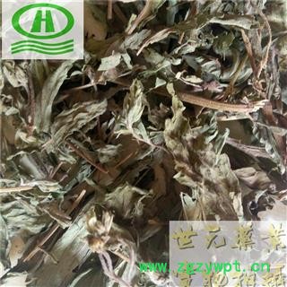 世元药业 甜菊叶 药用甜叶菊 另有茶饮一级图2