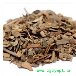 鬼箭羽 鬼箭羽好选货 产地 河南省图2