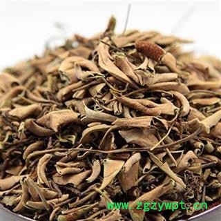 石韦  小叶 统货 产地 四川省图2