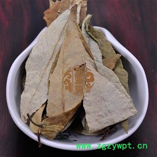 胡颓子叶 统货 产地 江苏省图4