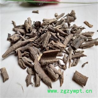 南五加皮 一般选货 产地 甘肃省图2