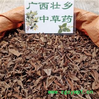 广西壮乡中草药 野生 含量高 小叶 石苇 石韦 产地 广西柳州市融水苗族自治县图4