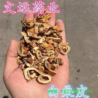 桑皮 桑白皮 产地 河南省南阳市南召县图2