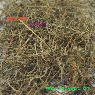 西河柳 怪柳赤怪柳 山川柳 三春柳 西湖柳 红筋柳 统 产地 河北省 批发各种冷背中草药个子图2