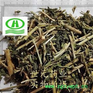 世元药业 常春花 正品 别称 长春花 日日新 雁来红 正品 日日春 日日草 三万花 四时春 时钟花图2