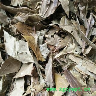 功劳叶 十大功劳叶   选货 产地 广西壮族自治区图3