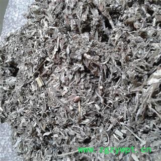 艾叶 医草 艾蒿 灸草 五月艾  选片 产地 河南省 批发各种冷背中草药个子图3