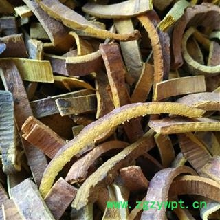 黄柏 川黄柏 去皮黄柏 产地 四川省图2