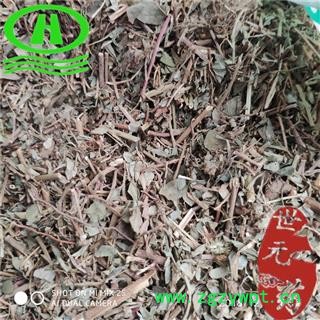 世元药业 一叶萩 正品 别称 一叶秋 小粒蒿 横子 粉条 老鼠牙 马扫帚牙 小孩拳图2