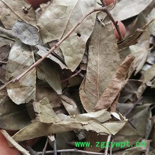 瑞森药材行南烛叶 乌饭树叶 南烛枝叶南烛叶 乌饭树叶 黑官膳食材 乌米饭叶 乌黑米 墨饭叶图2