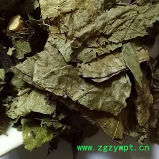 瑞森药材行黄皮叶  油皮 油梅今年新货图2