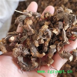 瑞森药材行淫羊藿根 洋火叶根 三枝九叶草根 仙灵脾 新货 另有淫羊藿叶图3