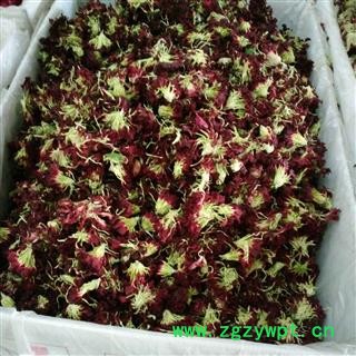 康仙花  康乃馨 百花茶 选货 产地 安徽省图3