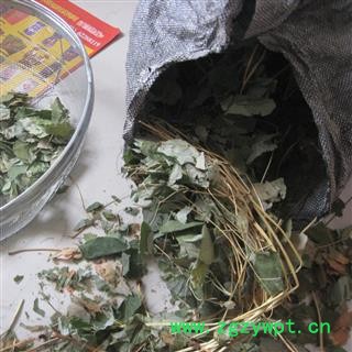 淫羊藿  淫羊藿个子 统 产地 吉林省通化市辉南县图4