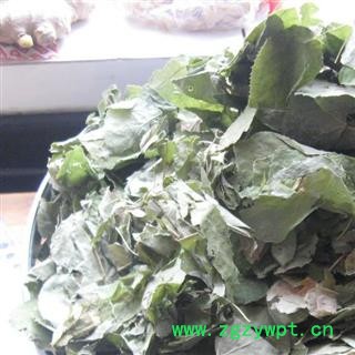 淫羊藿  淫羊藿个子 统 产地 吉林省通化市辉南县图3