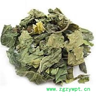 霜桑叶  桑叶统货 产地 天津市图2