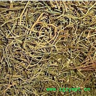 舒筋草 1000克图2