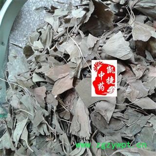 银杏叶 银杏叶统货 产地 浙江省图2