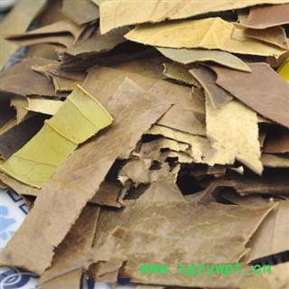 十大功劳叶 功劳叶 产地 湖北省 凯捷中药图2