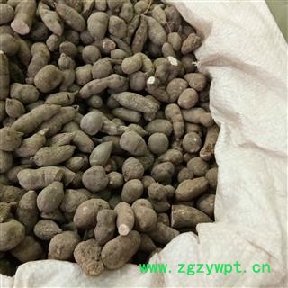 三叶青 三叶青统货 产地 浙江省图3